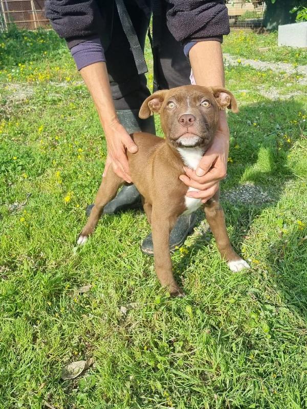 Eros... perché vi farà innamorare🥰 Foto 4