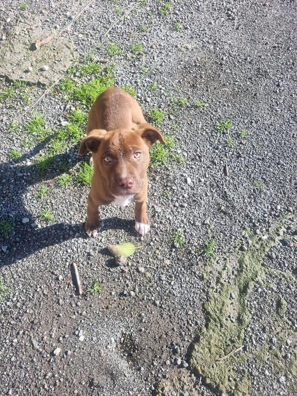 Eros... perché vi farà innamorare🥰 Foto 5