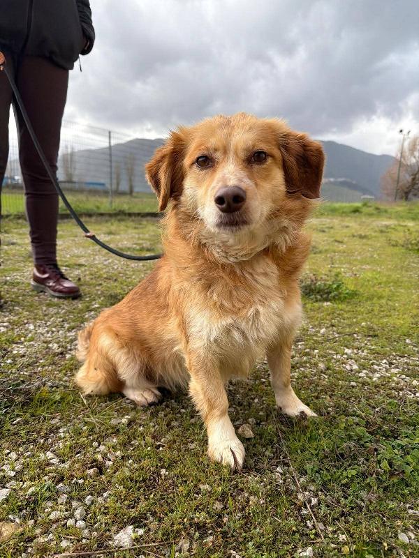 Janine Cagnolino Dolcissimo A Genova 