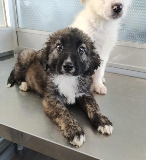 Perché È Invisibile? 