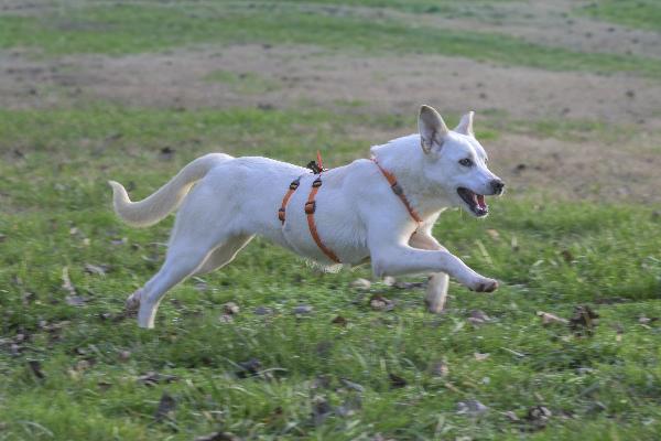 Cherry, Meticcia Vivace E Socievole