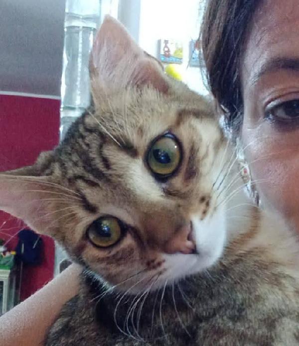 STITCH, tenero cucciolo in adozione ! Foto 4