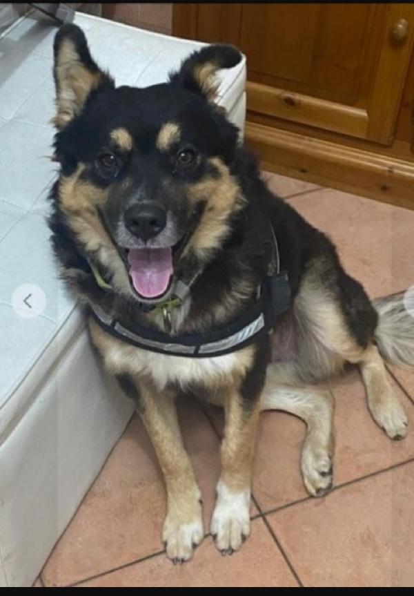 Quasi 3Anni Splendido Rinuncia Di Proprietà! Mantova