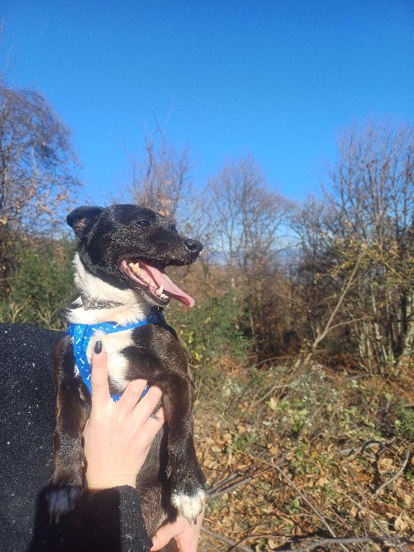 Milo 🩵🩵 Foto 2