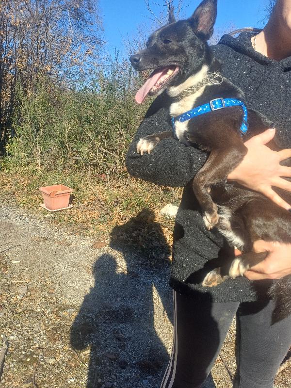 Milo 🩵🩵 Foto 4