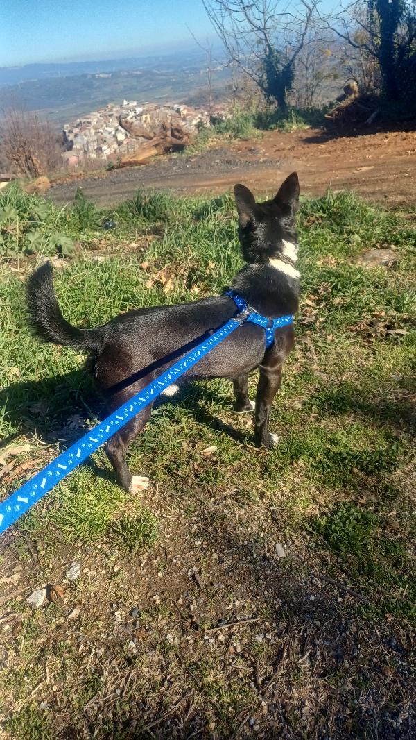 Milo 🩵🩵 Foto 5