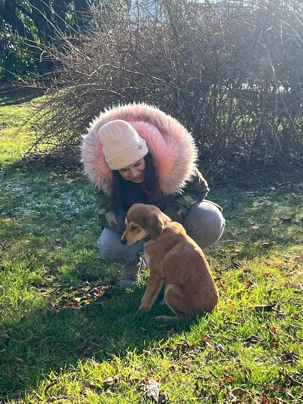 Nala splendida cucciolotta cerca famiglia  Foto 7