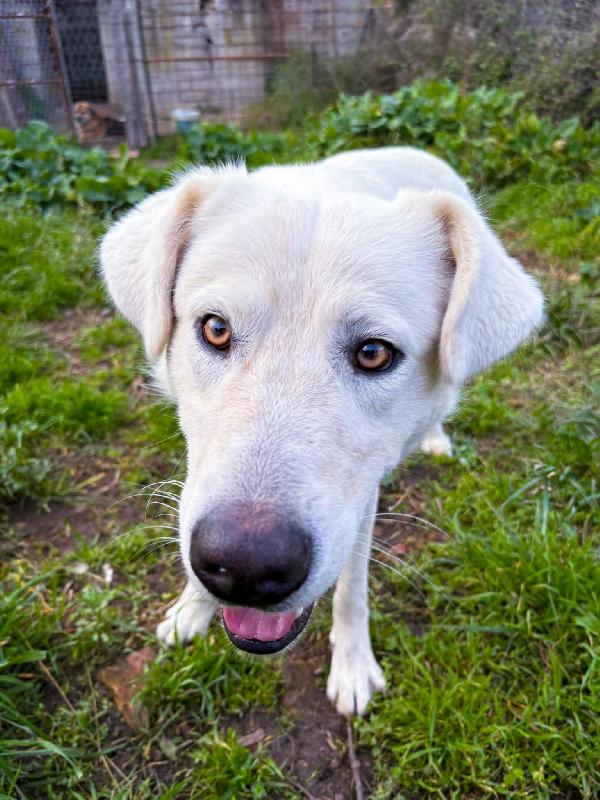 Guè... Dolce come pochi Foto 3