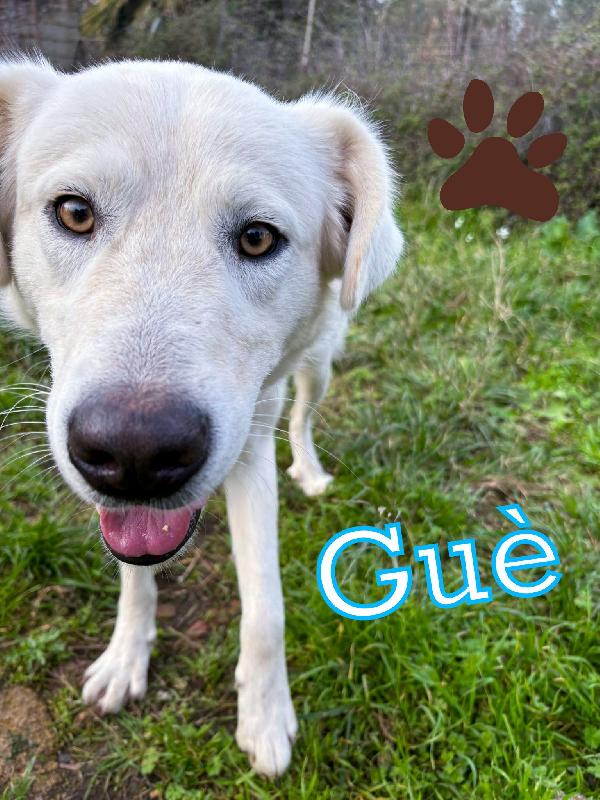 Guè,,💖🐾💖