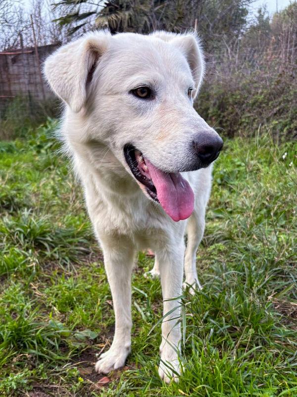 Guè,,💖🐾💖 Foto 3