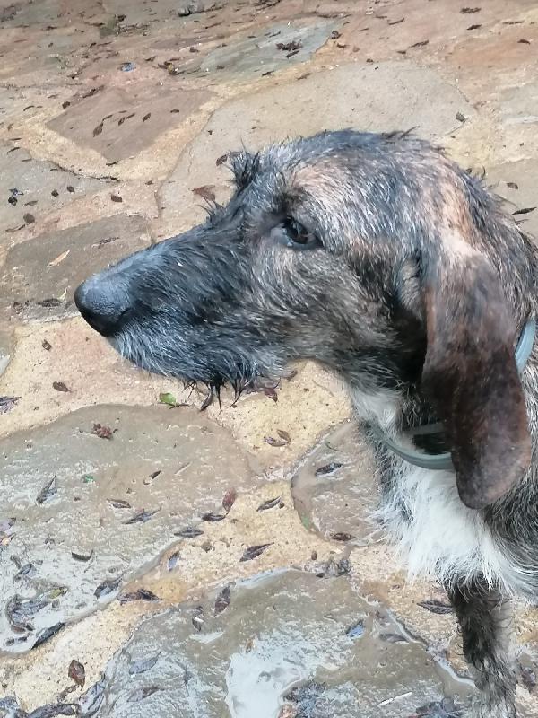 Una casa per Kira Foto 2