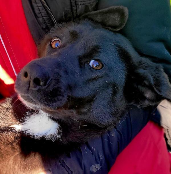 Bibbi' L'entusiamo Del Suo Essere Ti Prende Il Cuore💜