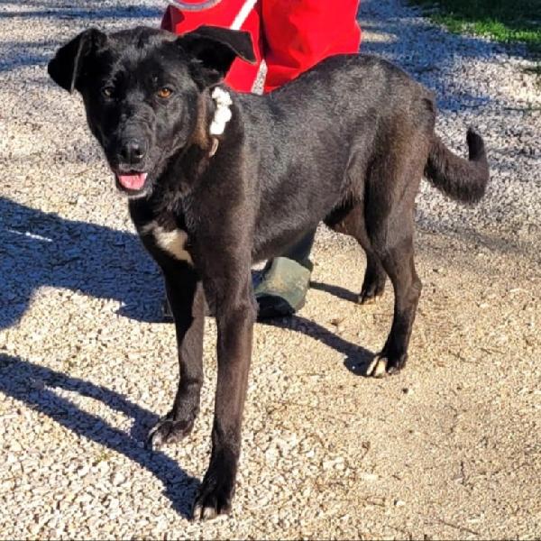 BIBBI' l'entusiamo del suo essere ti prende il cuore💜 Foto 2