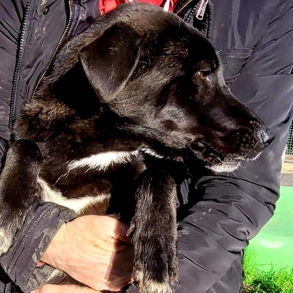 BIBBI' l'entusiamo del suo essere ti prende il cuore💜 Foto 4