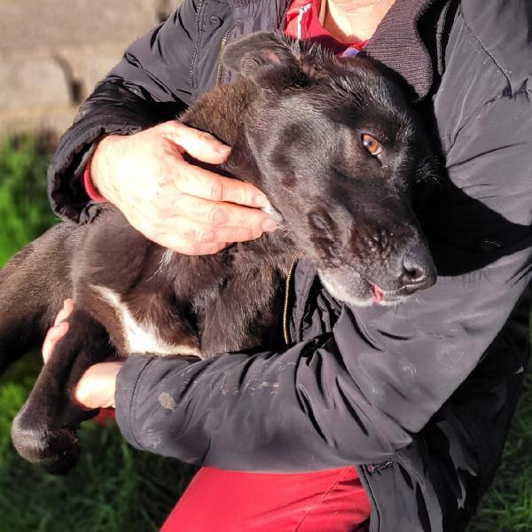 BIBBI' l'entusiamo del suo essere ti prende il cuore💜 Foto 6