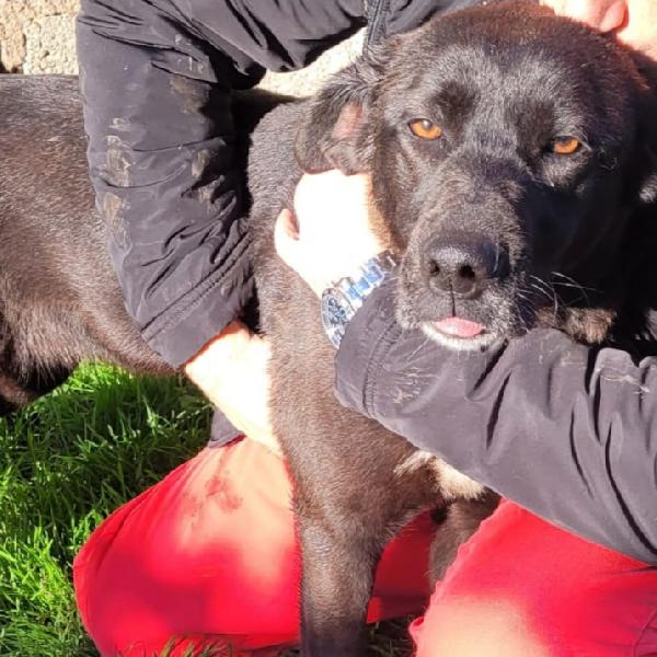 BIBBI' l'entusiamo del suo essere ti prende il cuore💜 Foto 5