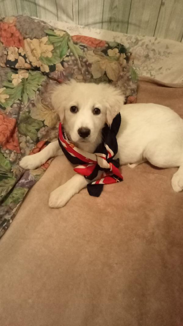 Cucciola 💕💖 Foto 2