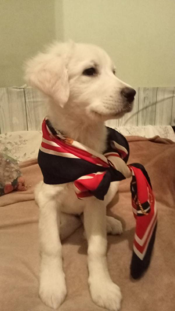 Cucciola 💕💖 Foto 3