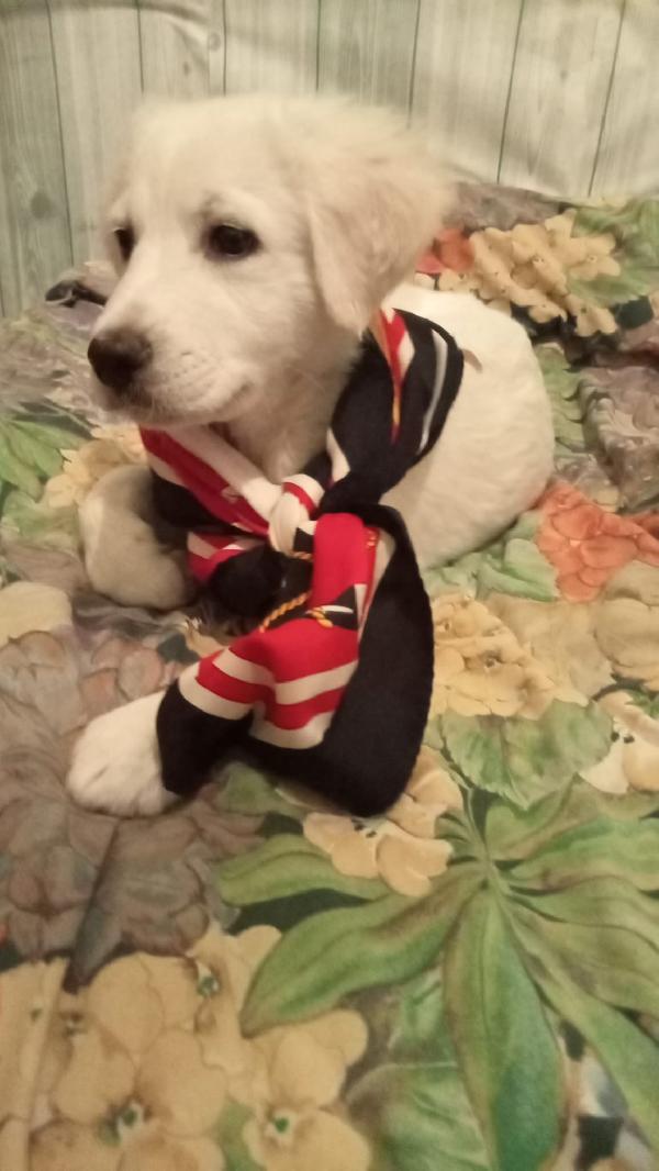 Cucciola 💕💖 Foto 4