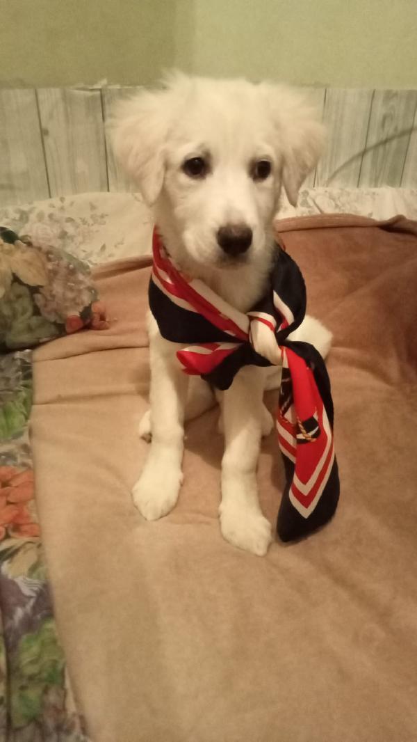 Cucciola 💕💖 Foto 5