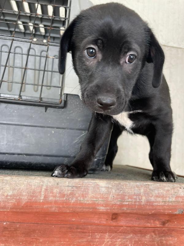 LA TENERA VITTORIA Foto 2