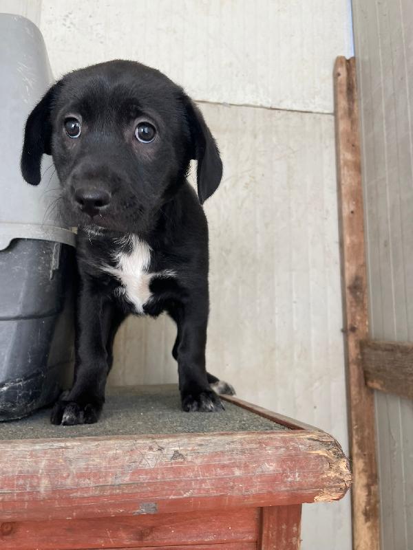 LA TENERA VITTORIA Foto 3