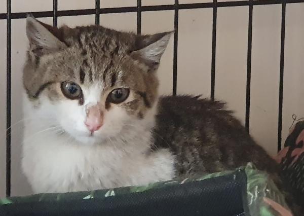 MARTINA, 2,5 mesi Foto 3