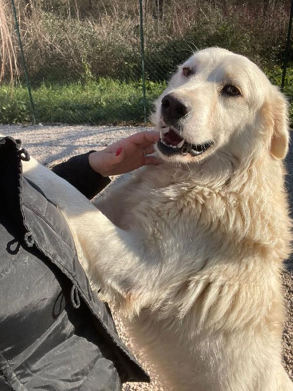 Oslo : Super Coccolone