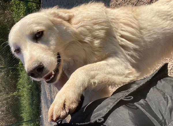 OSLO : SUPER COCCOLONE Foto 3