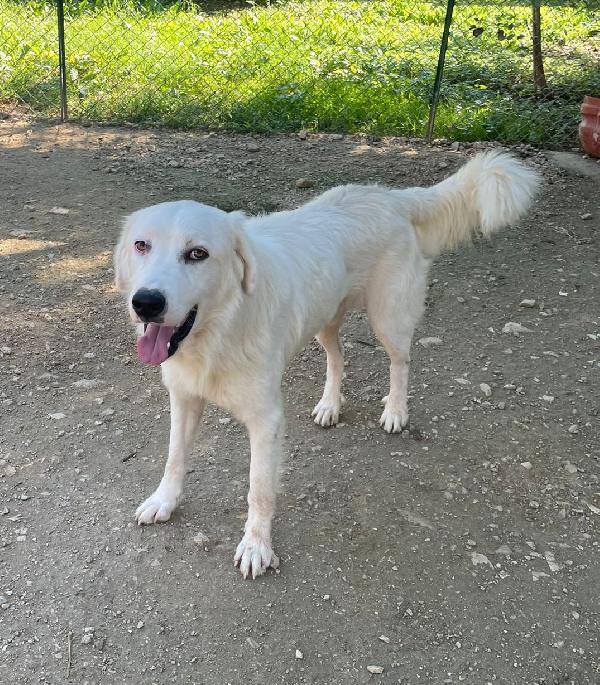 OSLO : SUPER COCCOLONE Foto 4