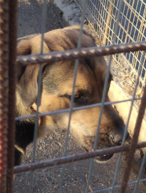 Spencer e Fridge Foto 2