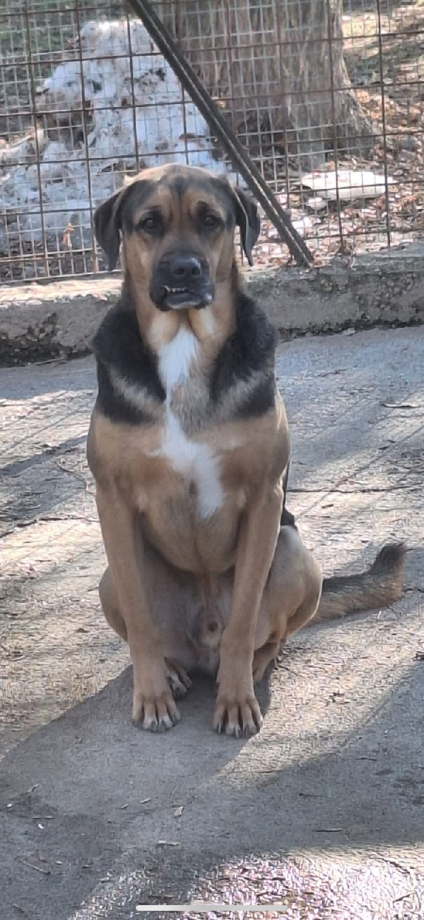 Spencer e Fridge Foto 4