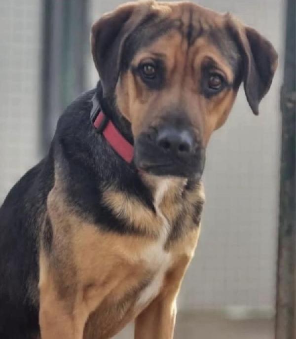 Spencer e Fridge Foto 5