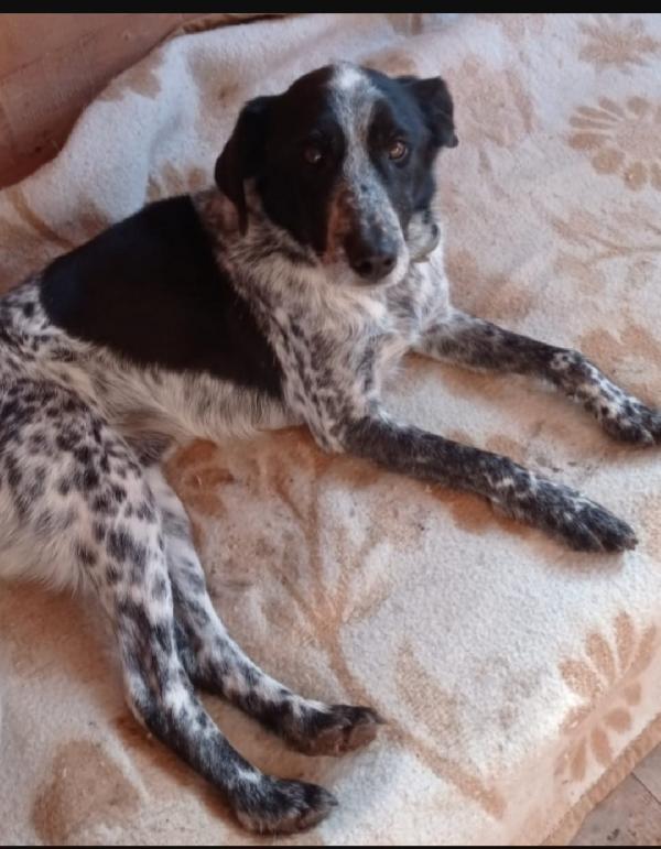 Bons 12Anni E 1/2 Mai Avuto 1Casa.lazio