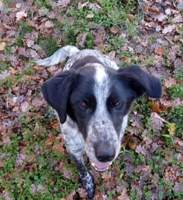 Bons 12anni e 1/2 mai avuto 1casa.LAZIO Foto 2