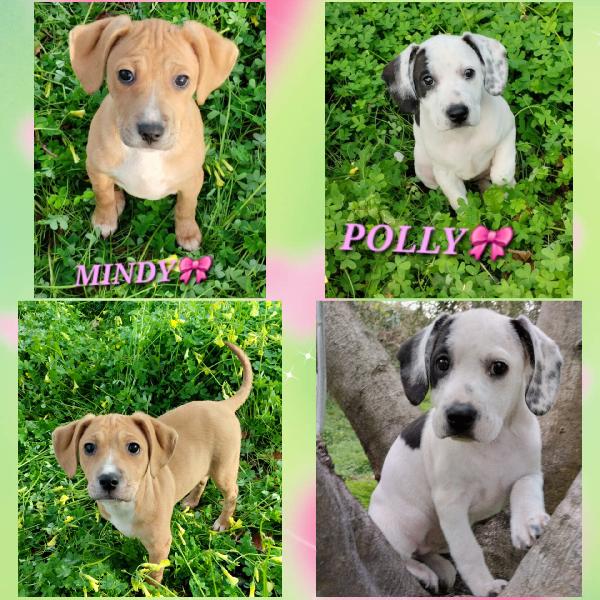 Sorelline Cercano Casa 