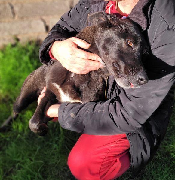 Bibbi' l'entusiasmo del suo essere ti prende il cuore💜 Foto 2