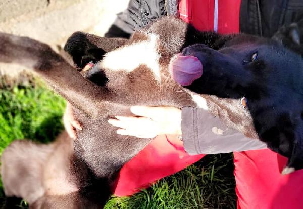 Bibbi' l'entusiasmo del suo essere ti prende il cuore💜 Foto 3