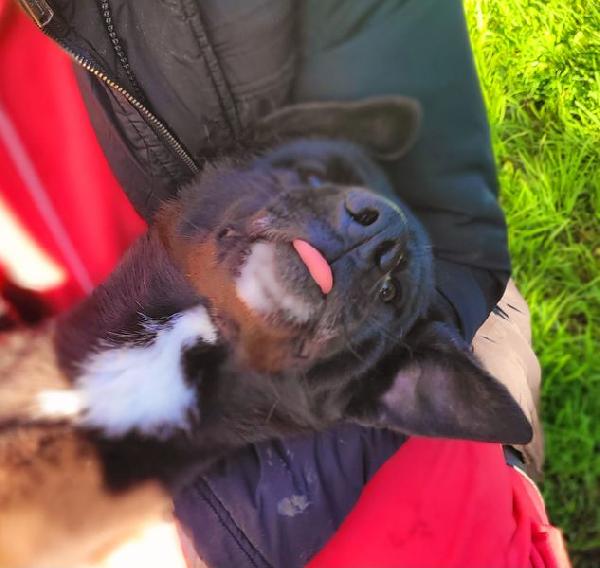 Bibbi' l'entusiasmo del suo essere ti prende il cuore💜 Foto 4