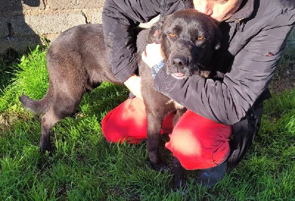 Bibbi' l'entusiasmo del suo essere ti prende il cuore💜 Foto 5