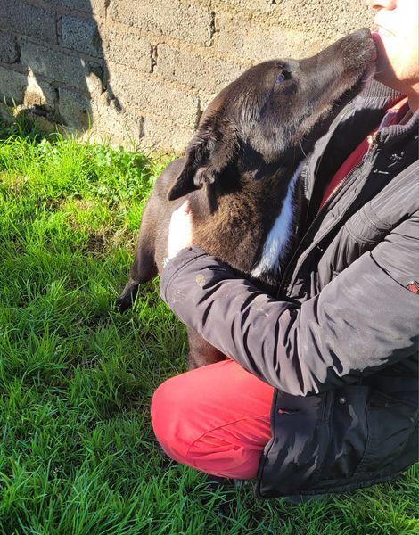 Bibbi' l'entusiasmo del suo essere ti prende il cuore💜 Foto 6