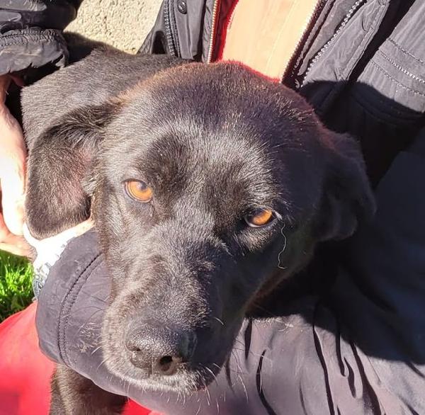 Bibbi' l'entusiasmo del suo essere ti prende il cuore💜 Foto 7