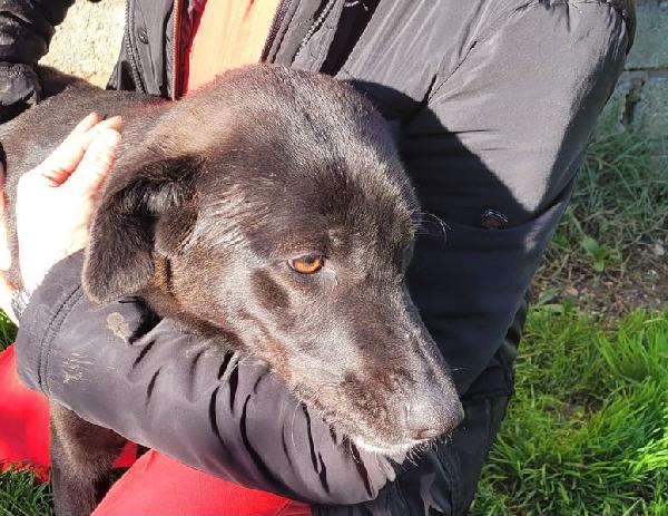 Bibbi' l'entusiasmo del suo essere ti prende il cuore💜 Foto 8