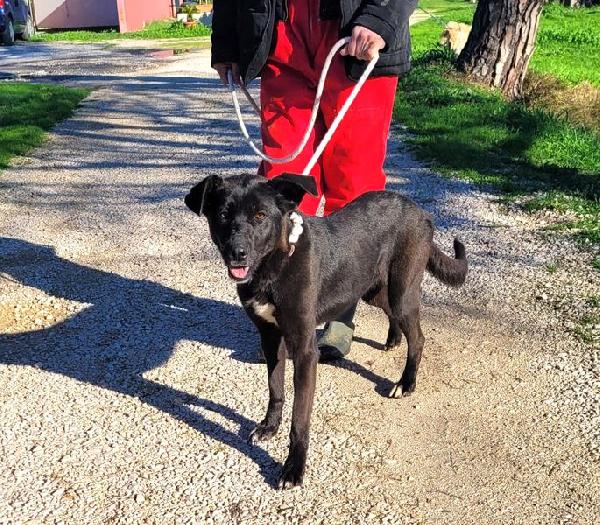 Bibbi' l'entusiasmo del suo essere ti prende il cuore💜 Foto 9