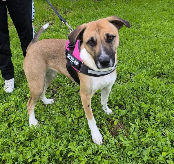 bibi, bella e buona Foto 2