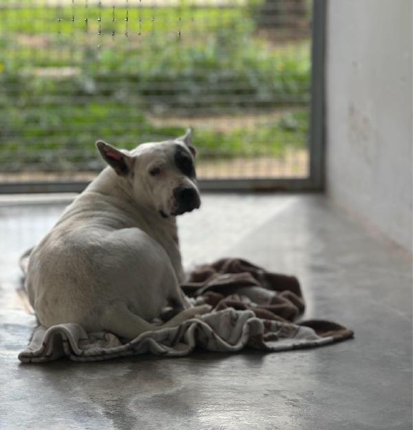 Magda, Ci Sarà Pure Qualcuno Per Te!