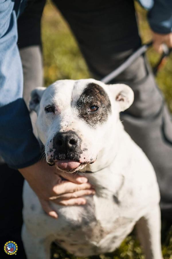 Magda, ci sarà pure qualcuno per te! Foto 4