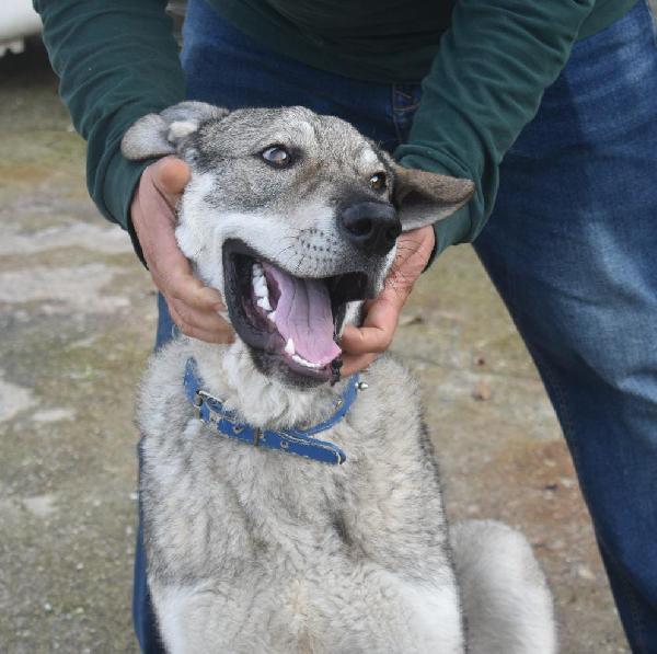 UNA MAMMA PER BALU Foto 4