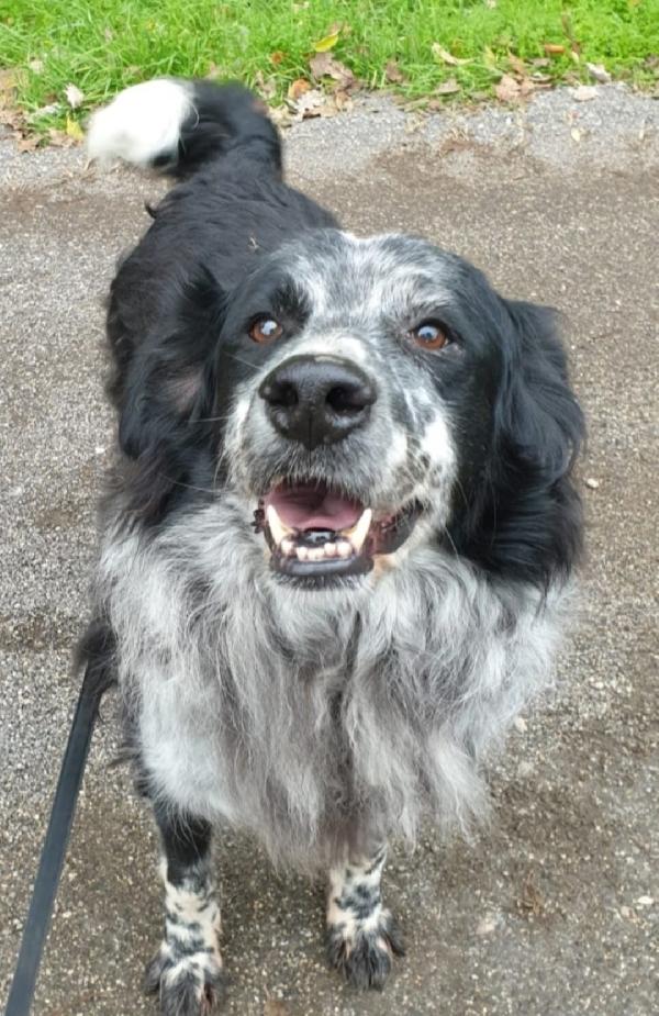 2Fratelli Mix Setter 13Anni,10Anni In 1Lager.roma