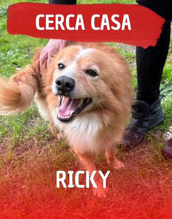 Ricky, 5 Anni, Piccolo Piccolo